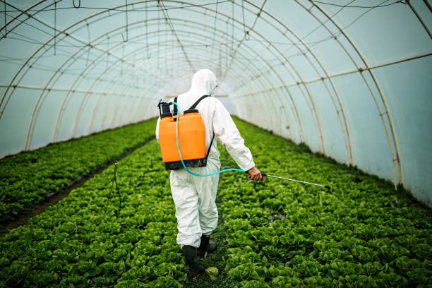 Pest Control for Restaurants in Mono Vista, CA