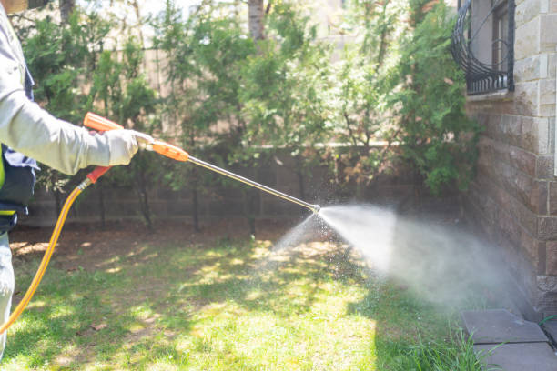 Best Termite Control Services  in Mono Vista, CA