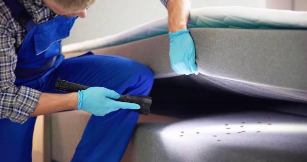Best Pest Removal Services  in Mono Vista, CA